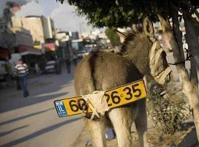 一切交通工具都要上牌照 一切交通工具都要上牌照