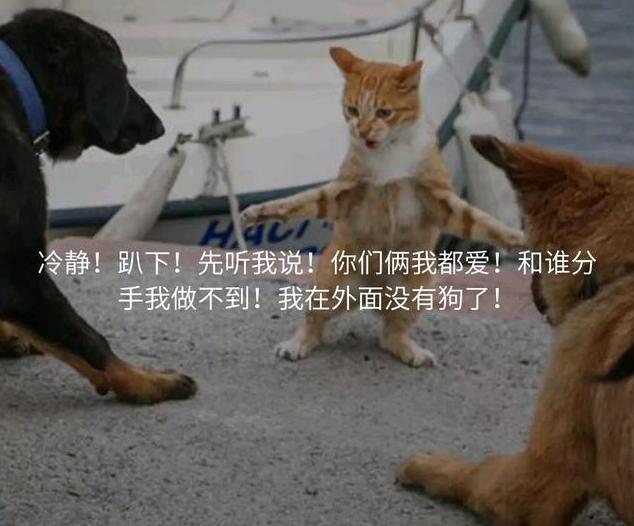 一场为爱厮杀的争斗 一场为爱厮杀的争斗