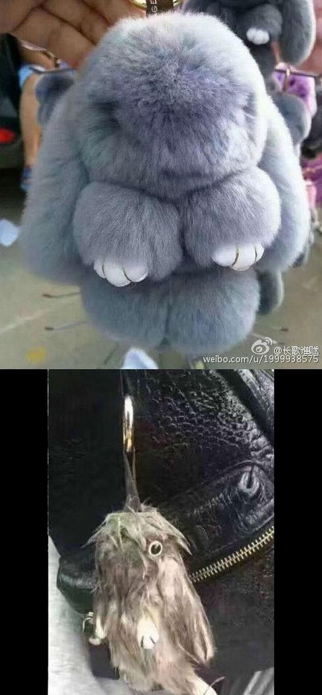 一场大雨检验了一切 一场大雨检验了一切