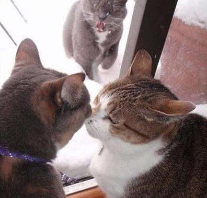 一块玻璃隔着一个世界 一块玻璃隔着一个世界