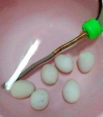 一大早舍友就起床给我们煮早餐 一大早舍友就起床给我们煮早餐