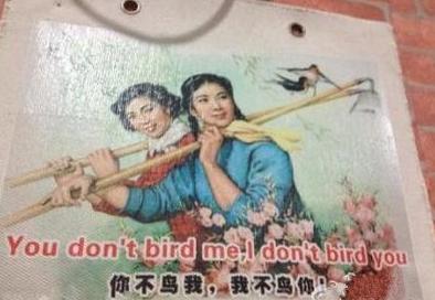 一张图形容和女朋友的关系 一张图形容和女朋友的关系