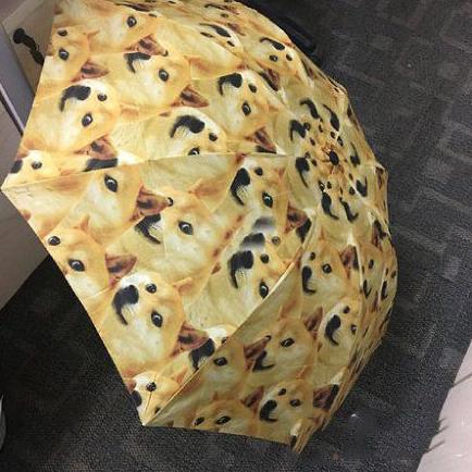 一把有魔性的伞 一把有魔性的伞