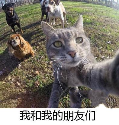 一般脸小的才敢拿手机站最前面拍 一般脸小的才敢拿手机站最前面拍