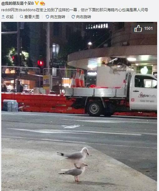 下面这位宝宝可能点了踩背服务 下面这位宝宝可能点了踩背服务