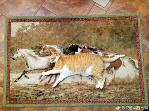 不认真看真的看不出来 不认真看真的看不出来