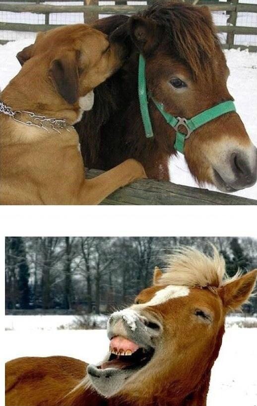 与朋友分享八卦之后的你 与朋友分享八卦之后的你