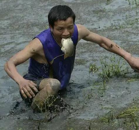 为了抓一条鱼至于吗 为了抓一条鱼至于吗