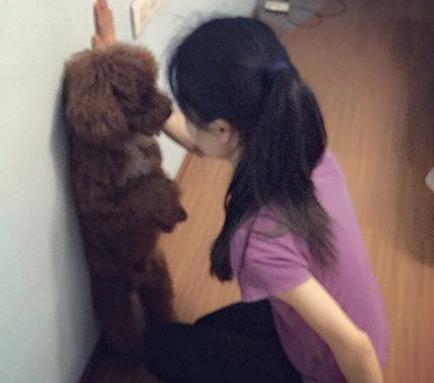 主银你不要酱紫 主银你不要酱紫