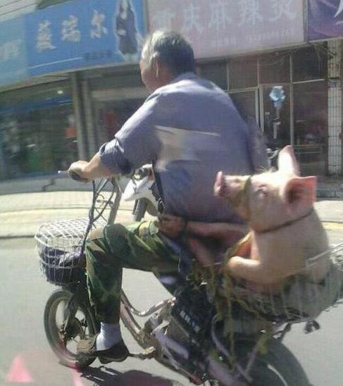 二师兄你坐的真销魂 二师兄你坐的真销魂