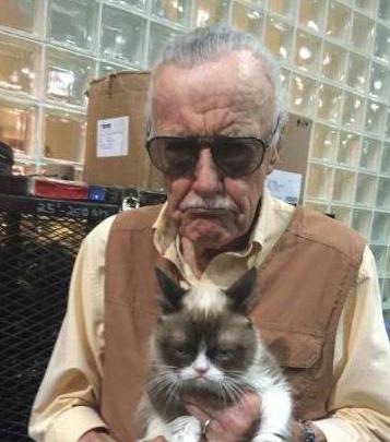 什么样的主人就有什么样的猫 什么样的主人就有什么样的猫