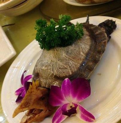 什么菜名才能配得上这个搭配 什么菜名才能配得上这个搭配