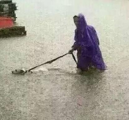 什么都阻挡不了一颗遛汪星人的心 什么都阻挡不了一颗遛汪星人的心