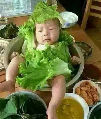 今晚火锅吃娃娃菜 今晚火锅吃娃娃菜