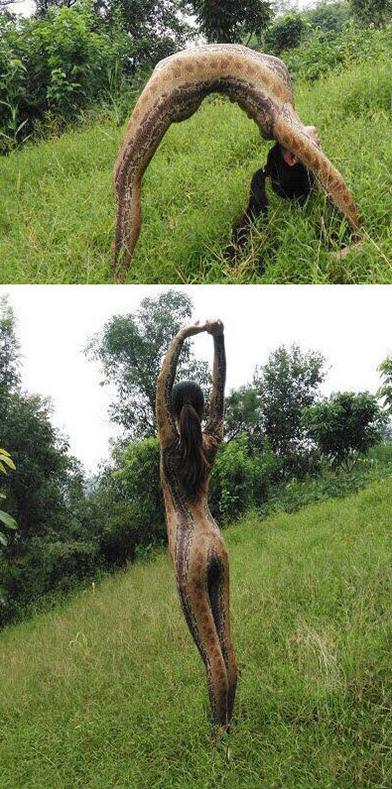 传说中的蛇精吗 传说中的蛇精吗