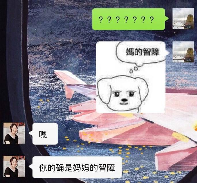 低估了麻麻的文字理解水平 低估了麻麻的文字理解水平