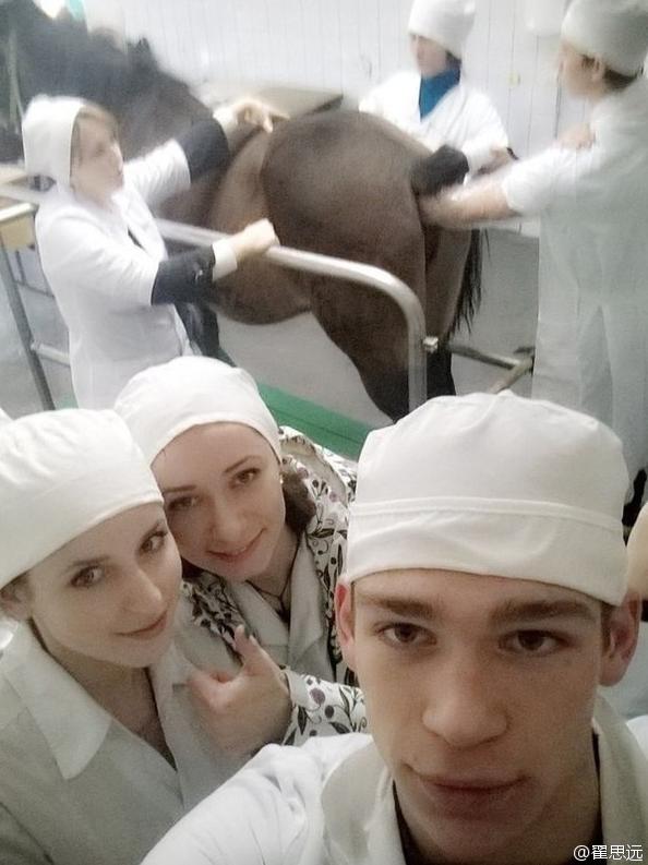 你们有考虑过马的感受吗 你们有考虑过马的感受吗