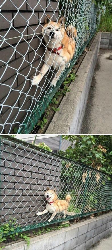 你没有估计过自己的身材吗 你没有估计过自己的身材吗