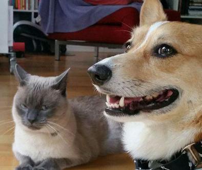 你瞅瞅你那谄媚的样儿 你瞅瞅你那谄媚的样儿