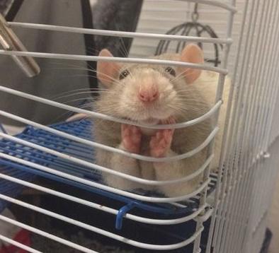 你还能不能再妖娆点 你还能不能再妖娆点