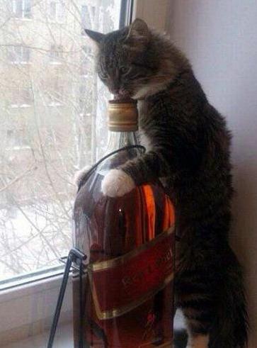 俺也要尝尝这酒的味道 俺也要尝尝这酒的味道