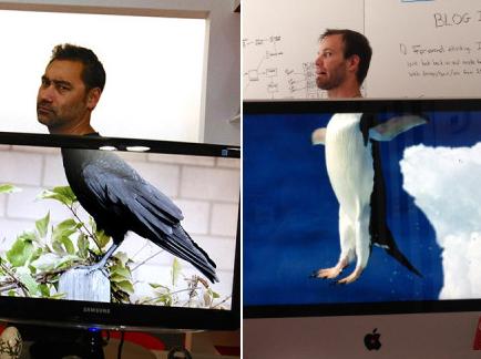 办公室里有个无聊的逗比 办公室里有个无聊的逗比