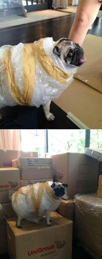 卖家说这样就不怕摔了 卖家说这样就不怕摔了