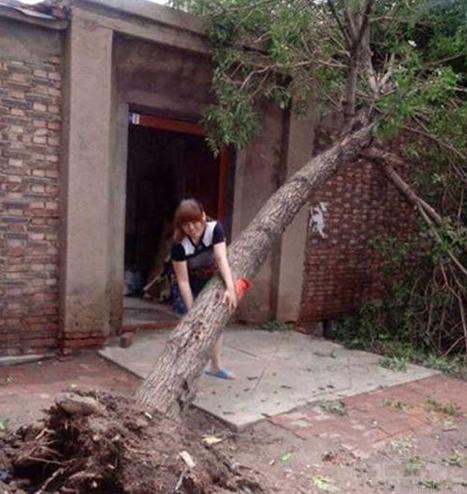 厉害了我的女汉子 厉害了我的女汉子