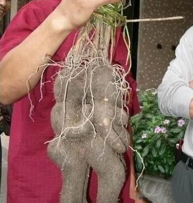 原来这就是传说中的地下情 原来这就是传说中的地下情