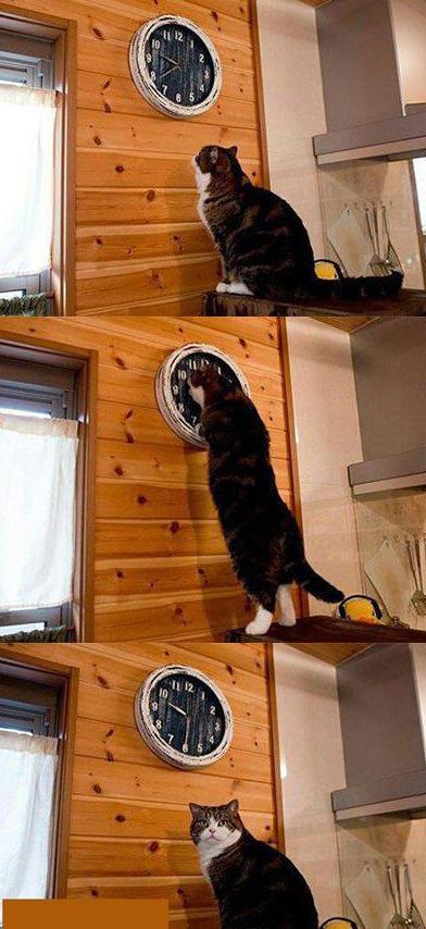 原来这就是每天上班迟到的原因 原来这就是每天上班迟到的原因