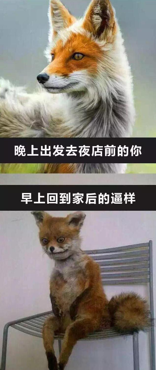 去夜店之前和之后的你 去夜店之前和之后的你