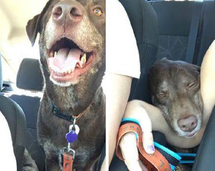 去玩的时候和回来时候的你 去玩的时候和回来时候的你