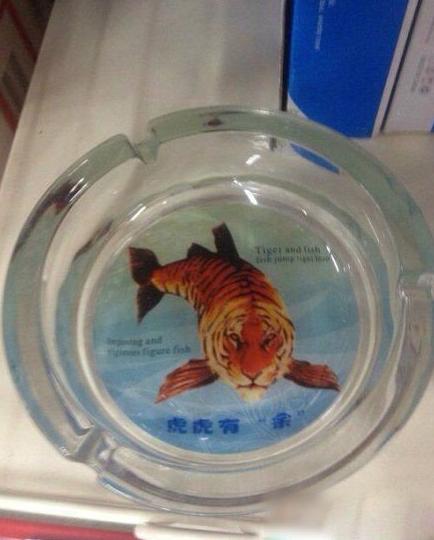 去超市买烟灰缸的时候发现了这个新物种 去超市买烟灰缸的时候发现了这个新物种