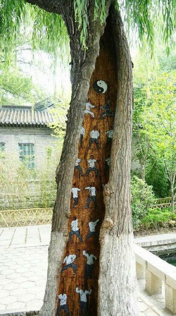 发现了一套失传于江湖的武林秘籍 发现了一套失传于江湖的武林秘籍