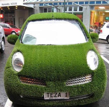 受到自然启发的创意设计 受到自然启发的创意设计