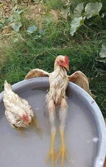 只是泡个澡而已 只是泡个澡而已