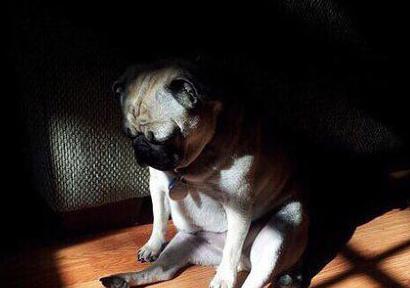 周末在家没人约的你 周末在家没人约的你