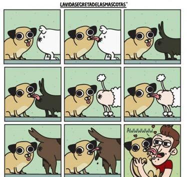 和宠物亲亲有助增进主仆的感情 和宠物亲亲有助增进主仆的感情