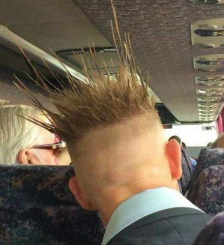 哥们的发型还真是与众不同啊 哥们的发型还真是与众不同啊