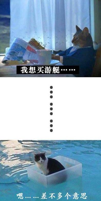 喵星人的梦想与现实…… 喵星人的梦想与现实……