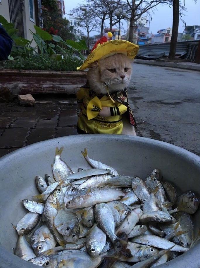 圣上微服私访却被路边的小鱼摊给吸引了 圣上微服私访却被路边的小鱼摊给吸引了