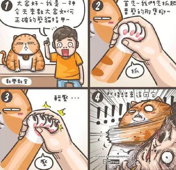 场面有点控制不住 场面有点控制不住