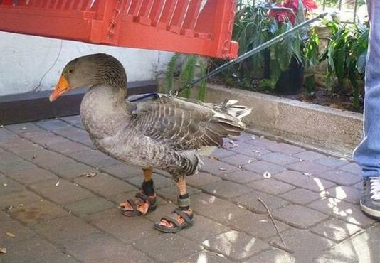 多此一举 多此一举