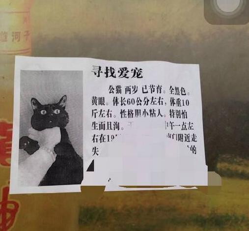 好像知道了离家出走的原因 好像知道了离家出走的原因