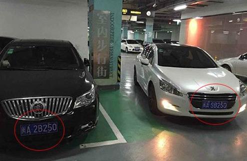 好兄弟终于见面了 好兄弟终于见面了