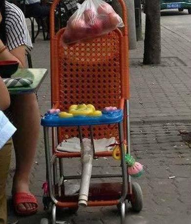 好机智的爸妈 好机智的爸妈