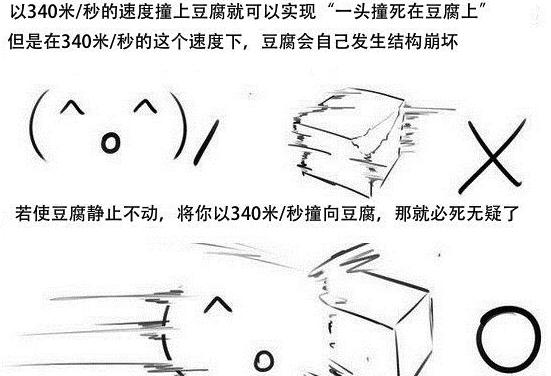 如何正确地撞死在豆腐上 如何正确地撞死在豆腐上