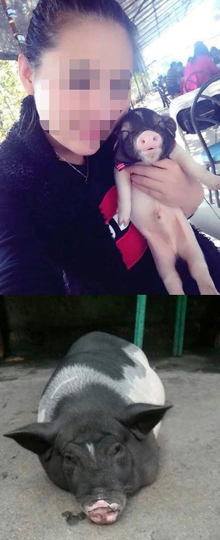 妹子以后养宠物走点心吧 妹子以后养宠物走点心吧