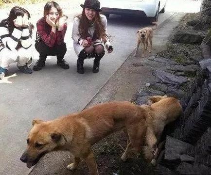 妹子们现场观摩爱情动作片实战 妹子们现场观摩爱情动作片实战