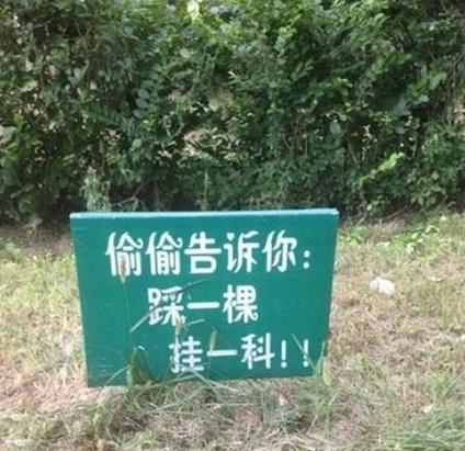 学校草坪标语太狠了一些吧 学校草坪标语太狠了一些吧